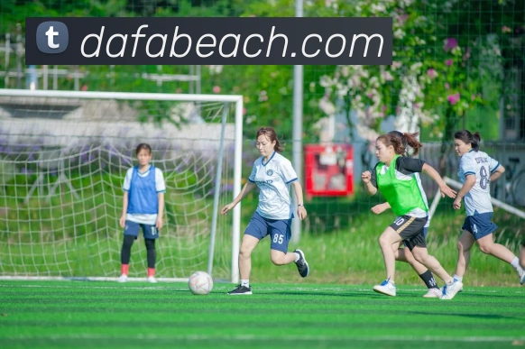 大发官网平台生态图