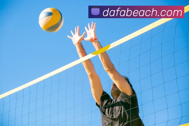 大发官网APP 封面图